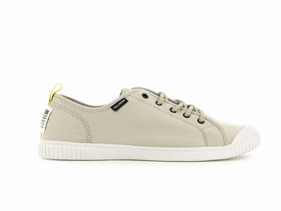 Zapatos Bajos Palladium EASY LACE CANVAS Mujer Dune | Costa Rica-42193